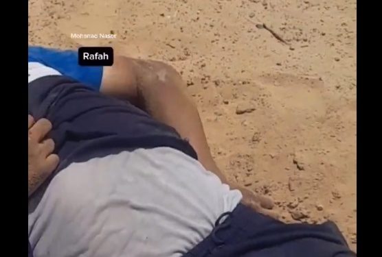 PALESTINA. Imágenes con niños asesinados en un barrio de Rafah tras el paso del ejército de Israel