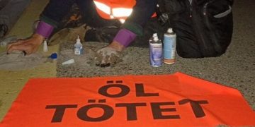 Activistas del clima se pegan al suelo en el aeropuerto de Colonia y generar un caos