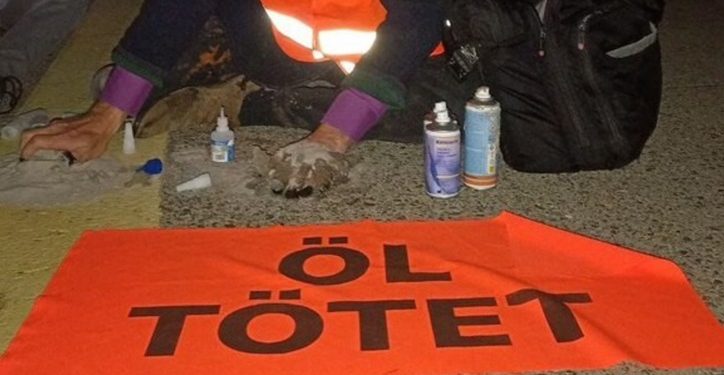 Activistas del clima se pegan al suelo en el aeropuerto de Colonia y generar un caos