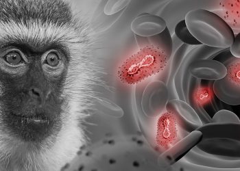 ÁNGELES MAESTRO. La viruela del mono, ¿culebrón del verano o nueva edición de pandemia del miedo?