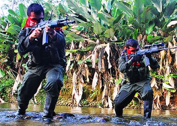 COLOMBIA. El ELN da por finalizado el paro armado en Chocó
