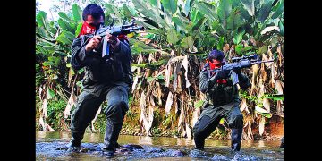 COLOMBIA. El ELN da por finalizado el paro armado en Chocó