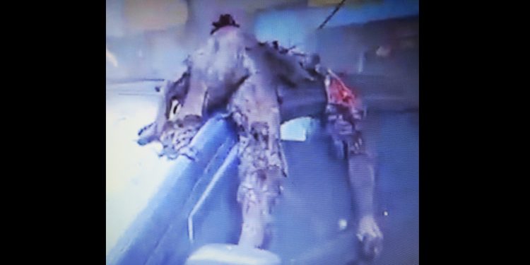 LÍBANO. Imágenes aterradoras de la barbarie sionista en Beirut (vídeo)