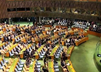 EL LINCE. Cuando el cerebro quiere hacer saltar el cráneo