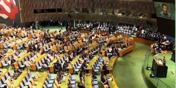 EL LINCE. Cuando el cerebro quiere hacer saltar el cráneo