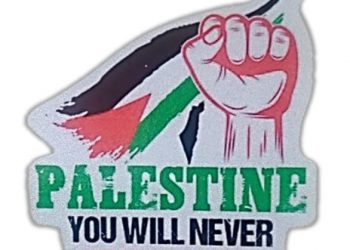 EE.UU. Miles de personas se manifiestan ante el Ayuntamiento de Nueva York en solidaridad con Palestina