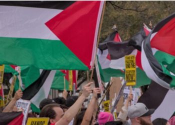EUROPA. Un fin de semana pródigo en manifestaciones solidarias con Palestina