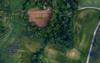 POLONIA. Enterrados los restos de cientos de personas ejecutadas por los nazis en la II GM