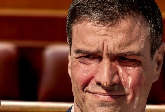 Carta a Pedro Sánchez firmada por personas de la cultura pidiendo un embargo integral de armas a Israel