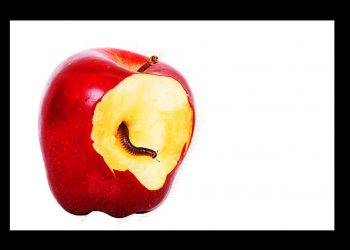 Además de mentiroso, idiota (RTVE más de lo mismo)