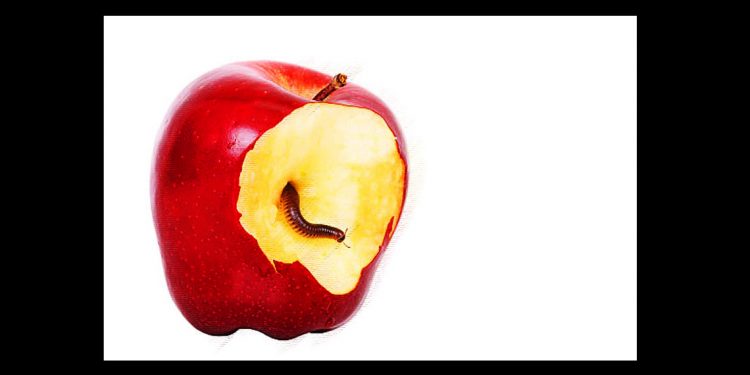 Además de mentiroso, idiota (RTVE más de lo mismo)