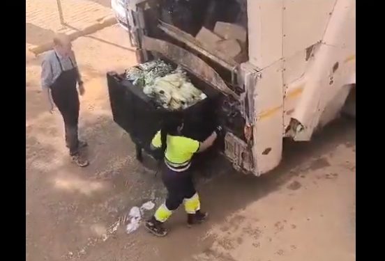 Mercadona tirando la comida en Valencia. Sin comentarios