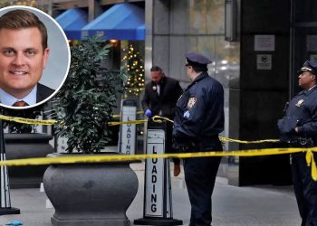 EE.UU. Ejecutado el CEO de la aseguradora de salud privada UnitedHealthcare (+ vídeo)