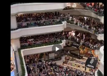 Milei publica una foto de un Centro Comercial lleno para demostrar lo bien que va la economía, pero… era de China