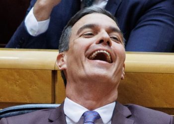 El gobierno (PSOE/Sumar) avala que policías se infiltren en movimientos sociales