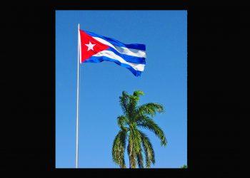 GOBIERNO REVOLUCIONARIO. Frente a la arremetida imperialista, Cuba vencerá