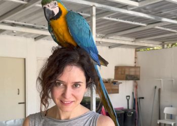 Ayuso confirma su situación mental mejorable: fue a Tailandia a ponerse un loro en la cabeza y a mentar la hoz y el martillo