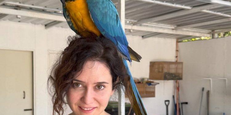 Ayuso confirma su situación mental mejorable: fue a Tailandia a ponerse un loro en la cabeza y a mentar la hoz y el martillo