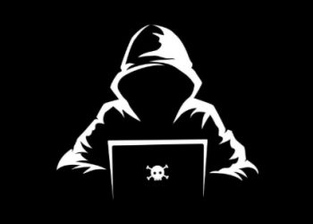 Busca y captura de Nanohub