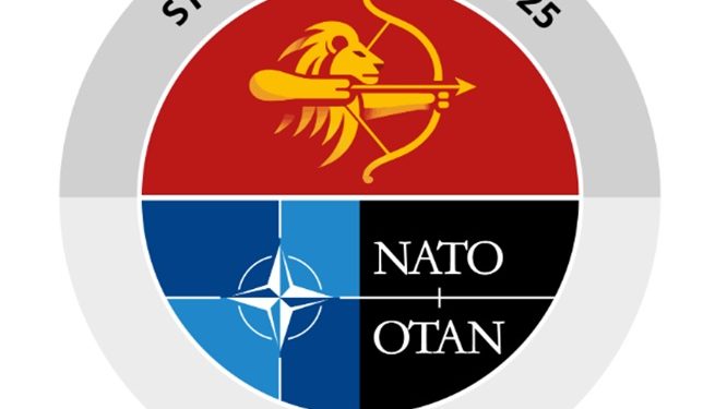 El gobierno envía 3.000 militares a un ejercicio de la banda armada OTAN destinado a amenazar a Rusia