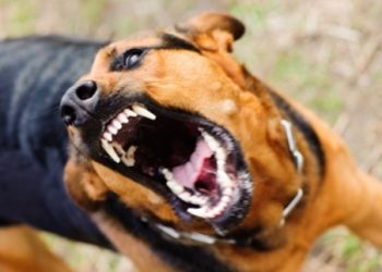 Madrid será sede del fascismo europeo los días 7 y 8 de febrero; el resto del año está Ayuso