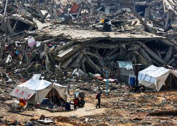 Vergüenza para la humanidad (vídeo)