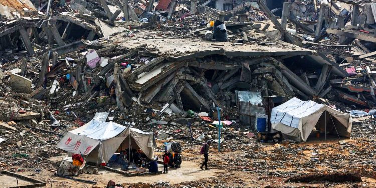 Vergüenza para la humanidad (vídeo)