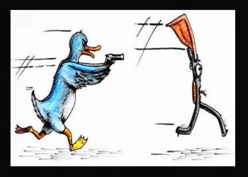 MARCELO COLUSSI. Los pájaros tirándole a la escopeta