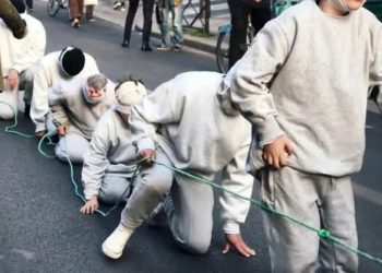 FRANCIA. Solidaridad con Palestina. Una protesta diferente (Videos)