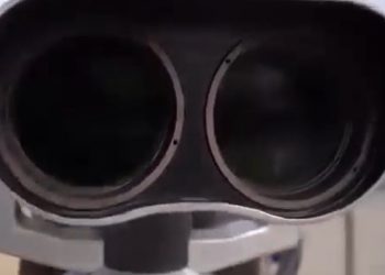 Sin palabras (Video)