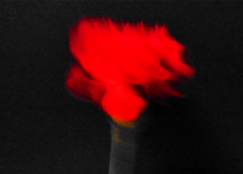 PORTUGAL. 25 de abril de 1974: Revoluçáu dos Cravos / Revolución de los Claveles