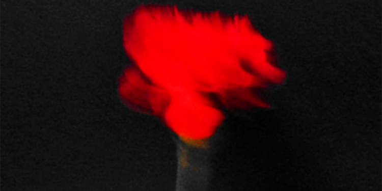 PORTUGAL. 25 de abril de 1974: Revoluçáu dos Cravos / Revolución de los Claveles