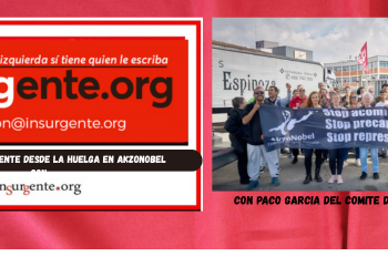 Video-Entrevista inSurGente desde la huelga en AkzoNobel, ¡readmisión despedidas ya!