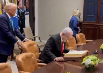 ISRAEL. Trump podría haber dado luz verde a Netanyahu para que haga lo que quiera en Gaza