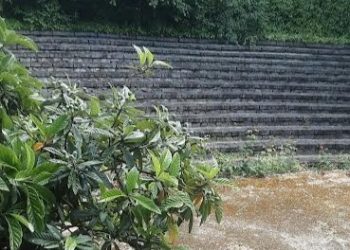 LA JARDINERA DE LAS 13 ROSAS. Machismo militante en la izquierda de la unidad