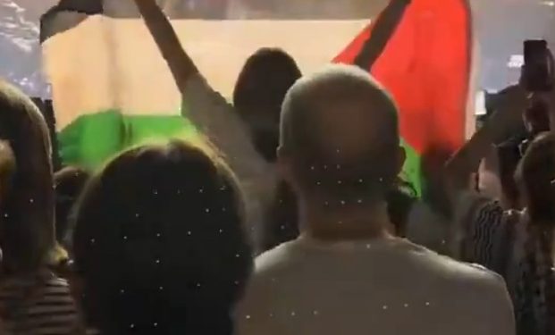 Detuvieron a una persona solidaria con Palestina a punto de subir al escenario cuando cantaba la israelí (Video)