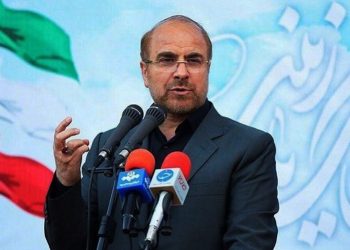 IRÁN. El Parlamento aprueba la suspensión de la cooperación con el OIEA y corea estas consignas