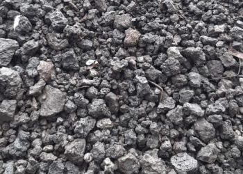 LA JARDINERA DE LAS 13 ROSAS. Cuando no se quiere oír hablar de tristeza