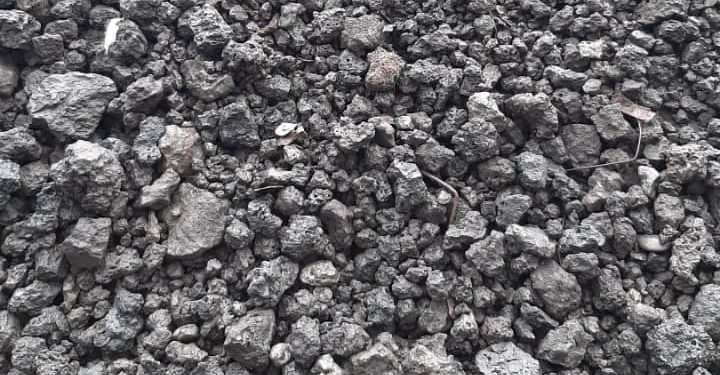 LA JARDINERA DE LAS 13 ROSAS. Cuando no se quiere oír hablar de tristeza