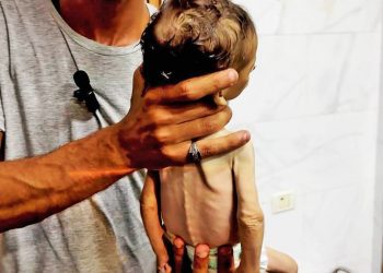 PALESTINA. Un padre, desesperado, ofrece un riñón por un saco de harina para alimentar a sus hijos (vídeo)