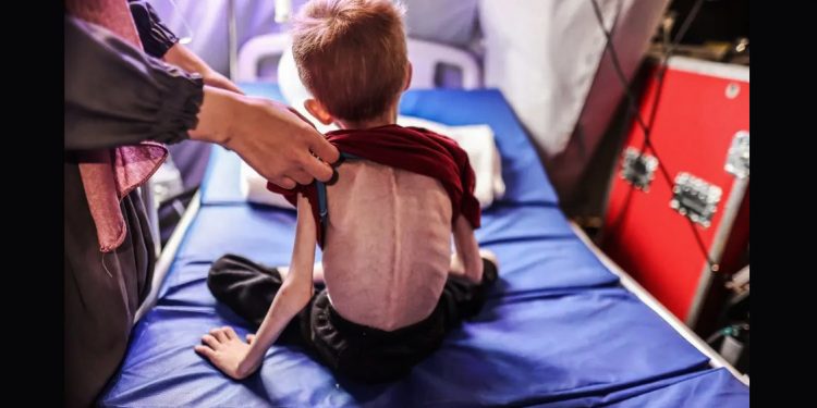 La Oficina de prensa del gobierno de Gaza advierte contra las falsas noticias sobre la llegada de ayuda