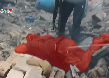 PALESTINA. Ataque de la Resistencia: un soldado sionista menos (vídeo)