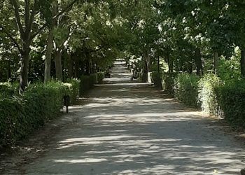 LA JARDINERA DE LAS 13 ROSAS. Si digo fascista