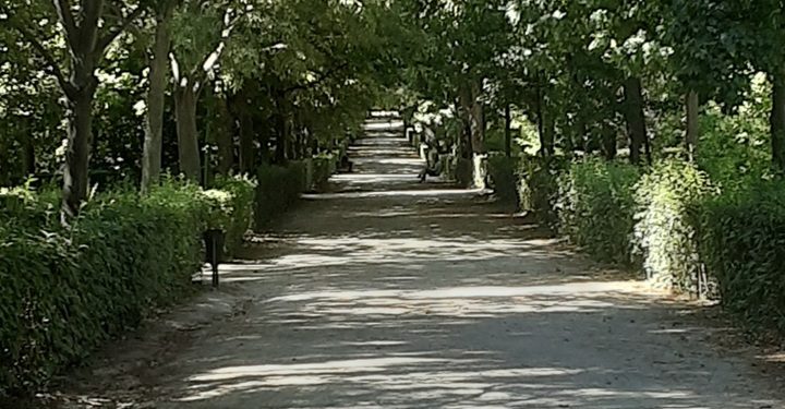 LA JARDINERA DE LAS 13 ROSAS. Si digo fascista