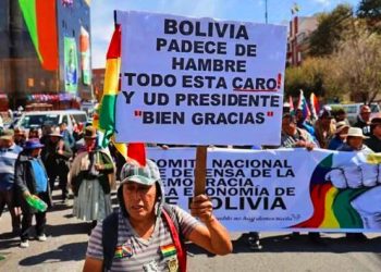 “Bolivia sufre ya seis años y dos gobiernos neoliberales”; un asambleísta lo argumenta con 8 ejemplos (vídeo)