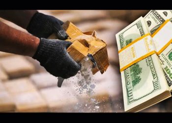 MARCELO COLUSSI. Narcotráfico: buen negocio