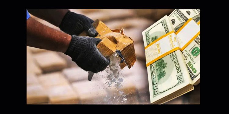 MARCELO COLUSSI. Narcotráfico: buen negocio