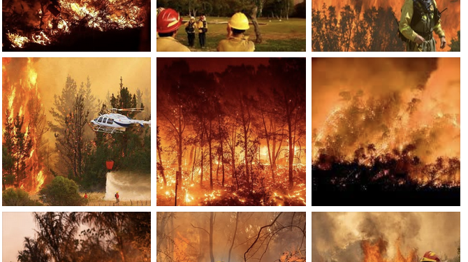 Más de 35 empresas privadas forman el servicio de extinción de incendios de Castilla y León