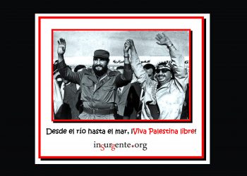 Fidel siempre estuvo con Palestina