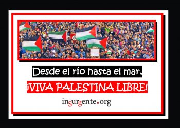 Impresionante, en Sidney (vídeo)